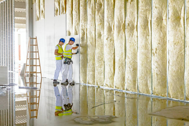 Best Specialized Insulation Services in Madison, OH